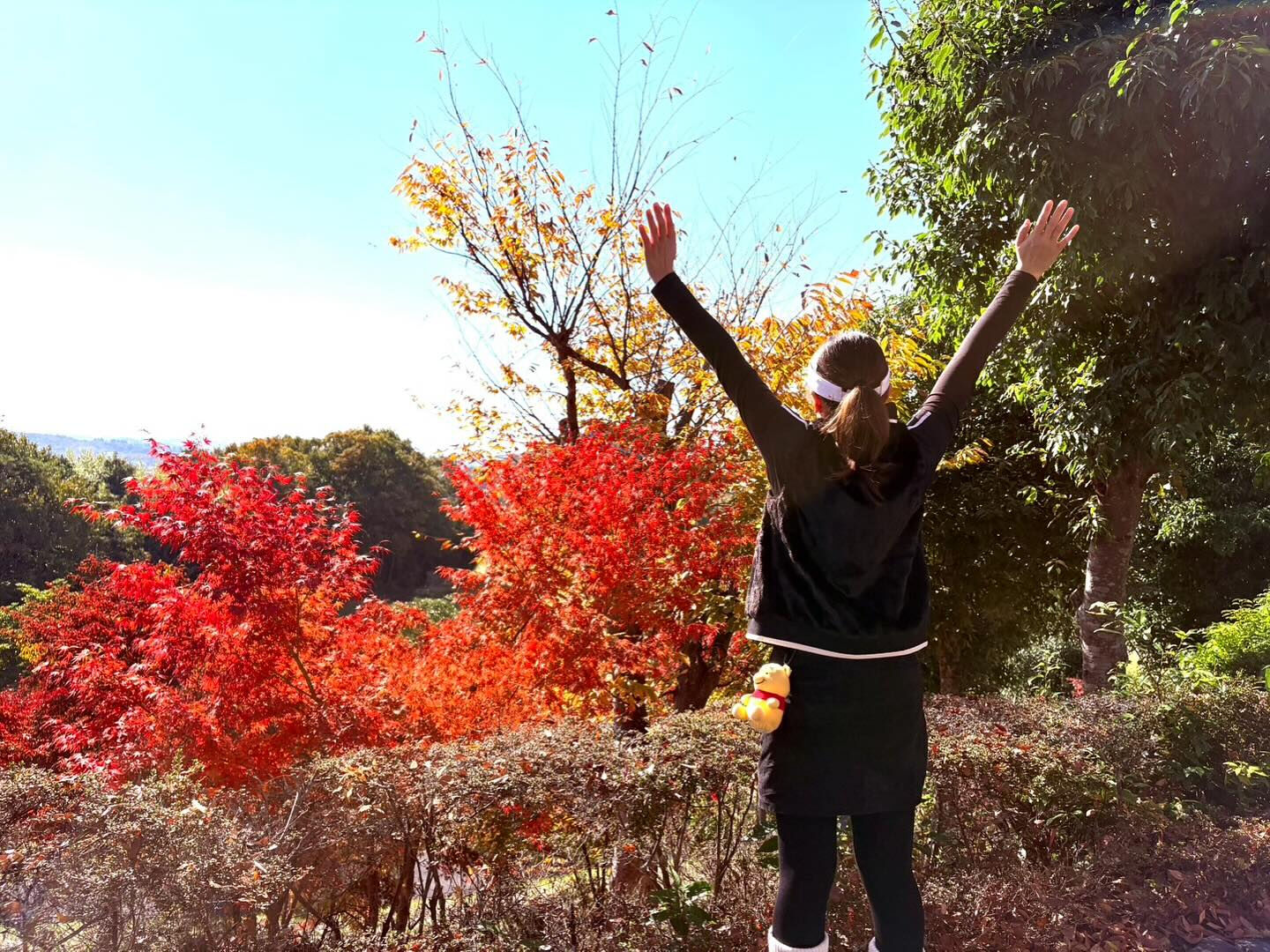 こんな秋晴れの中で思いきり体を伸ばしたくなる季節🍁