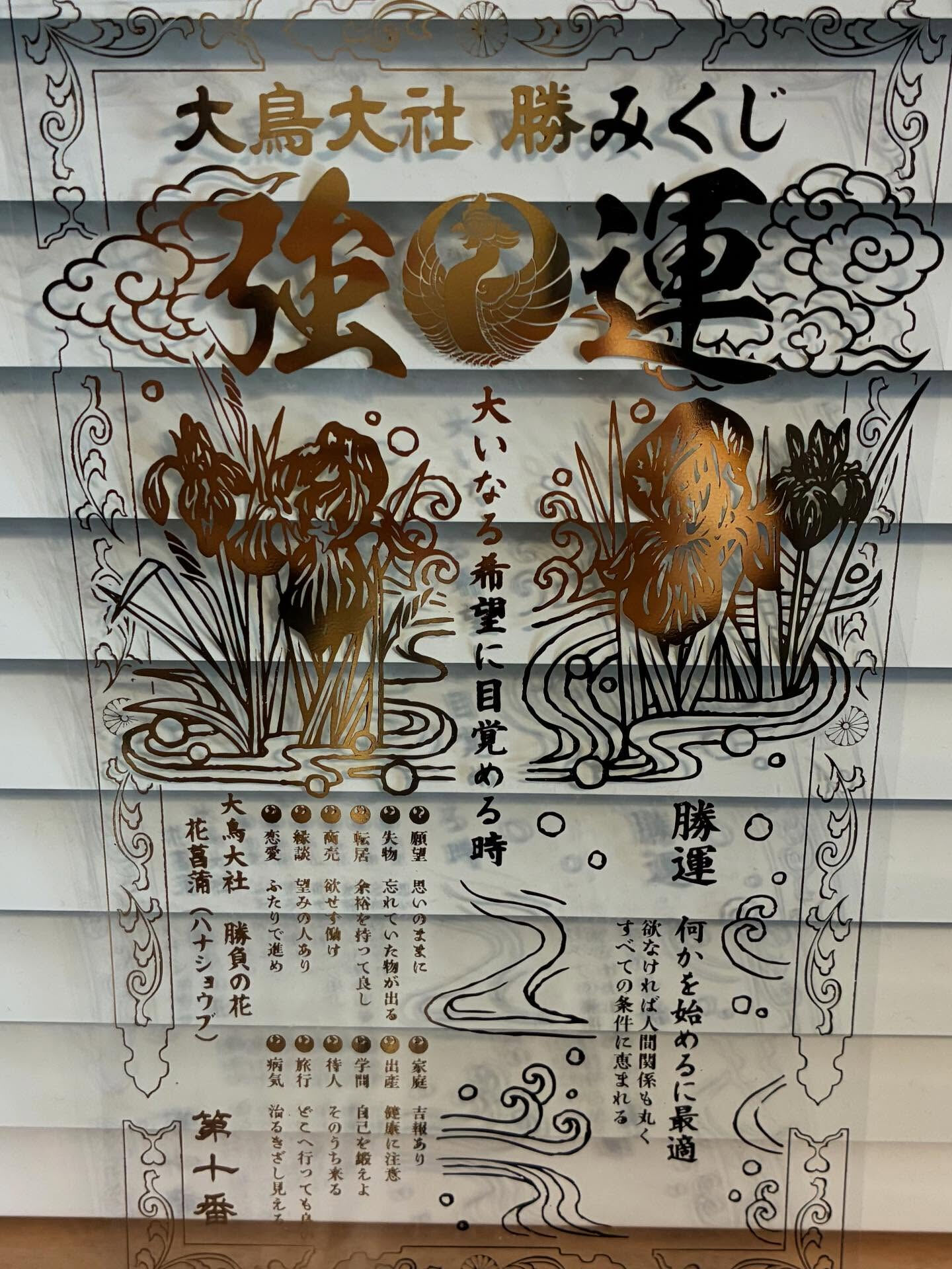🎍✨初詣に行ってきました✨🎍
