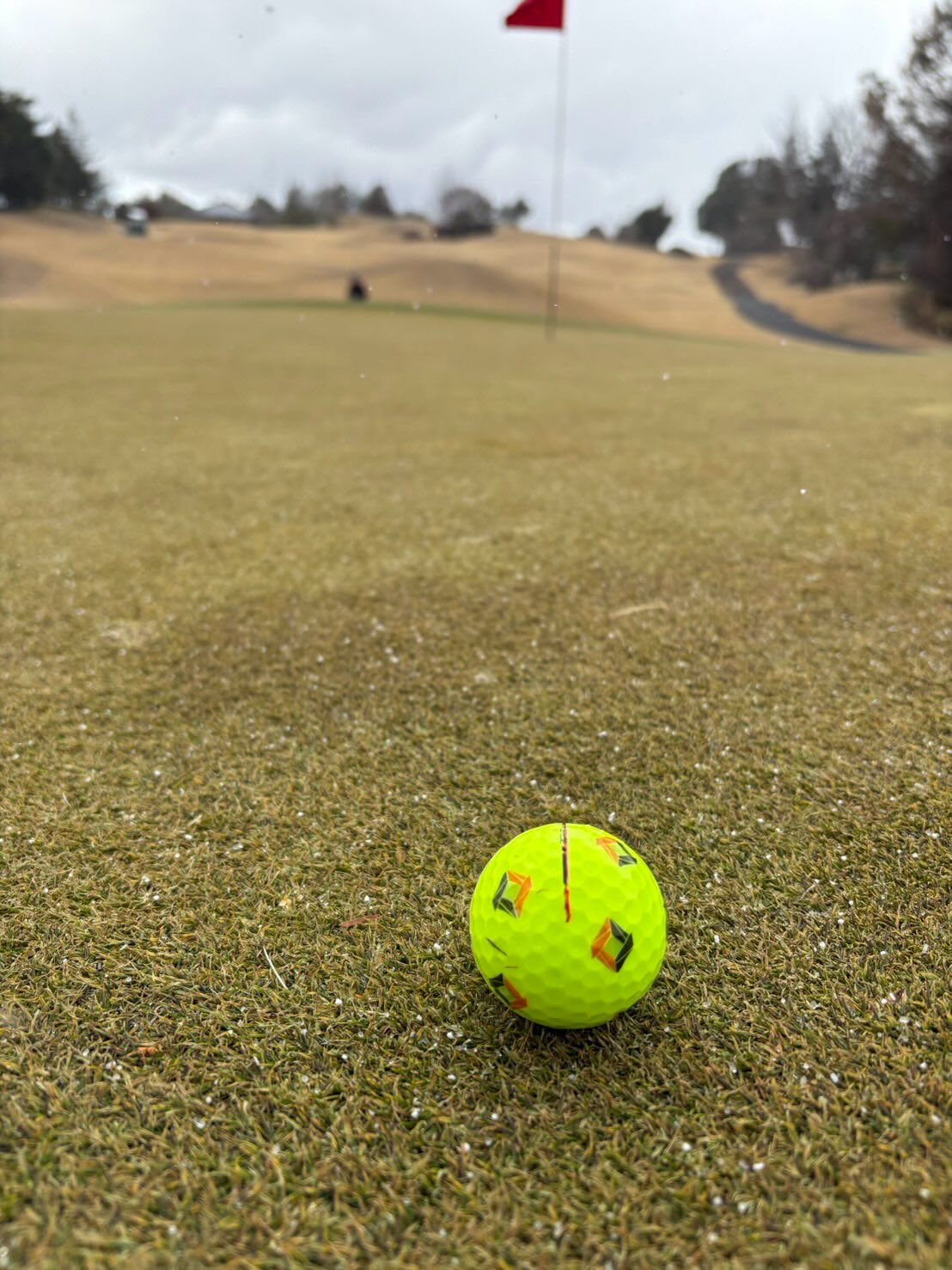 奈良若草カントリークラブにて⛳️