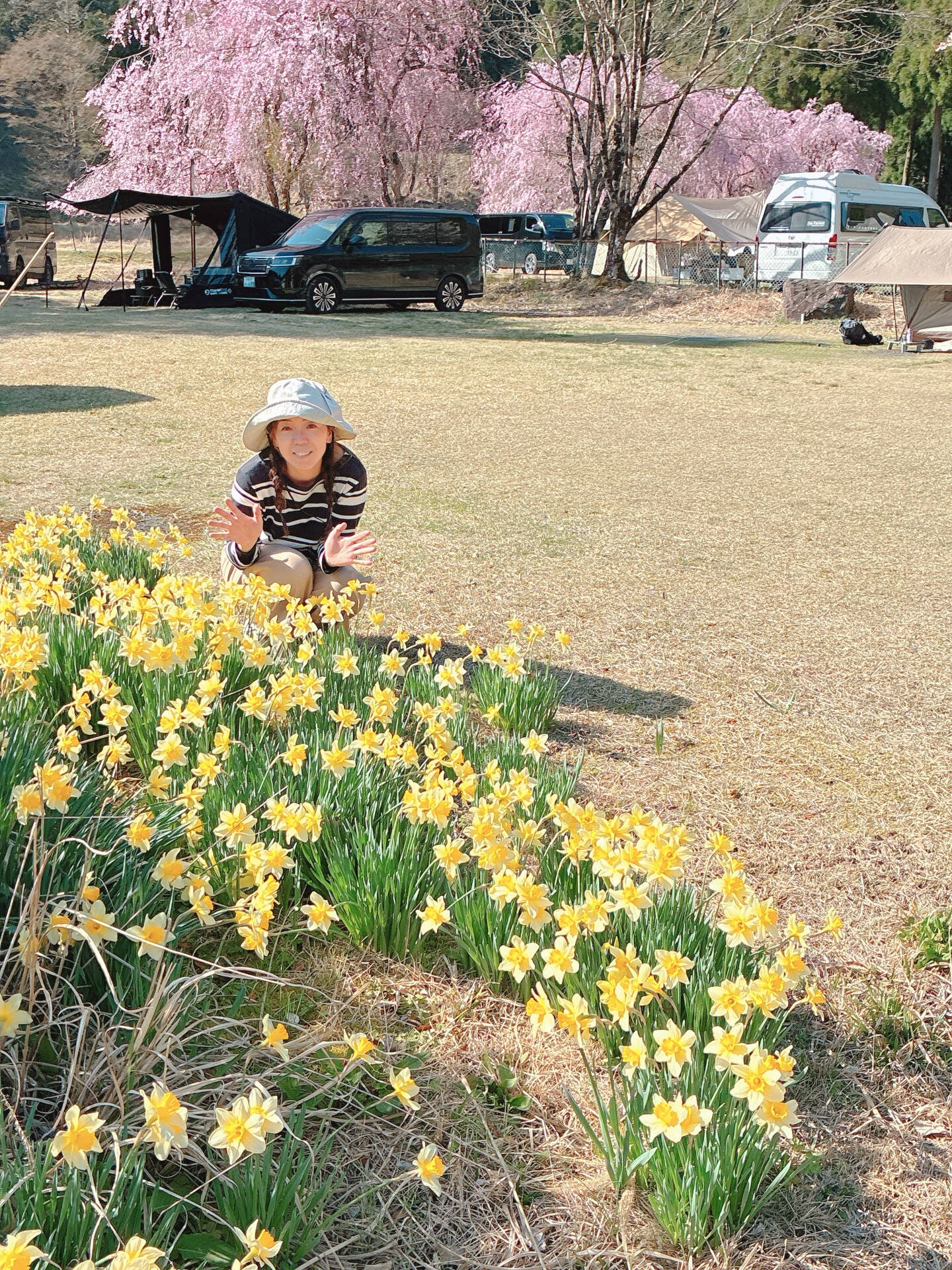 今日は思い切ってゴルフ練習はお休みして、のんびり花見キャンプ